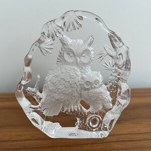 GLASS Owls Paperweight Reverse Etched Clear Glass Adult Owl & Owlet Office Decor